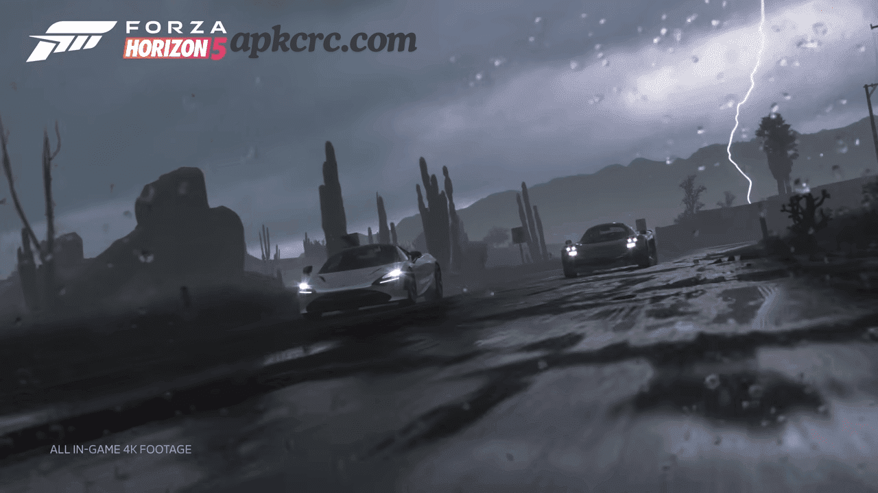 Forza Horizon conditions